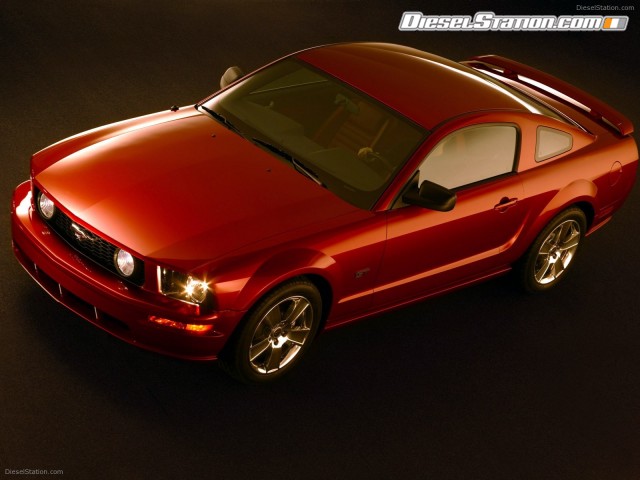 Mustangs